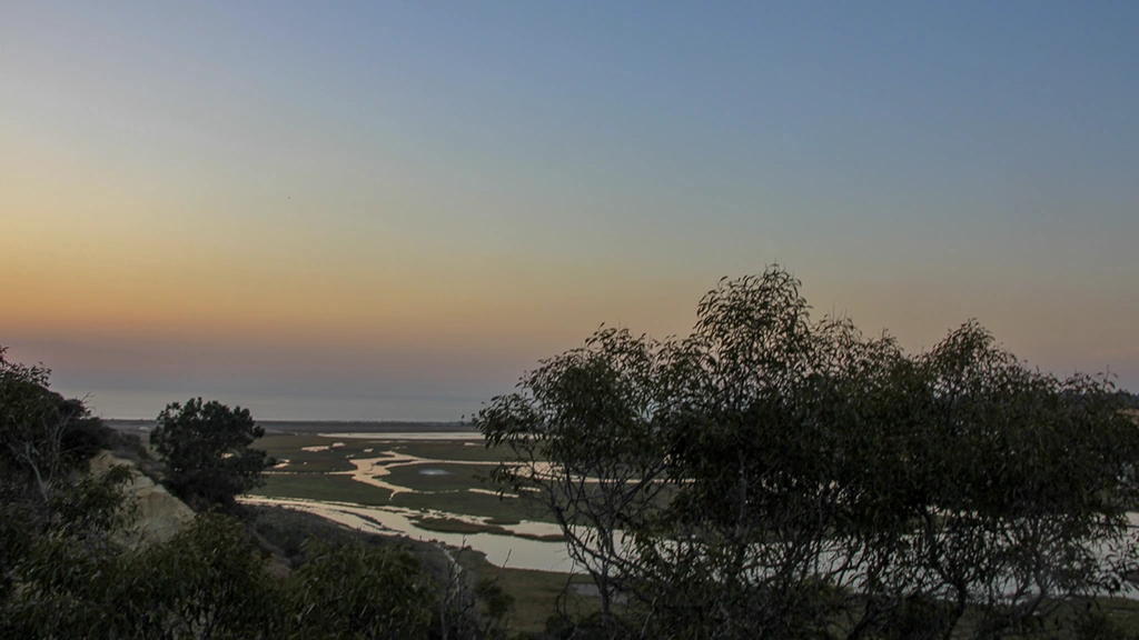 Torrey Pines State Natural Reserve Hiking Experience - Media 1