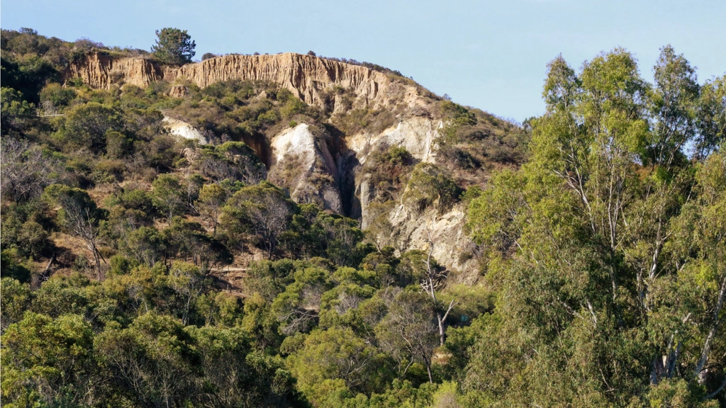 Torrey Pines State Natural Reserve Hiking Experience - Thumbnail 2