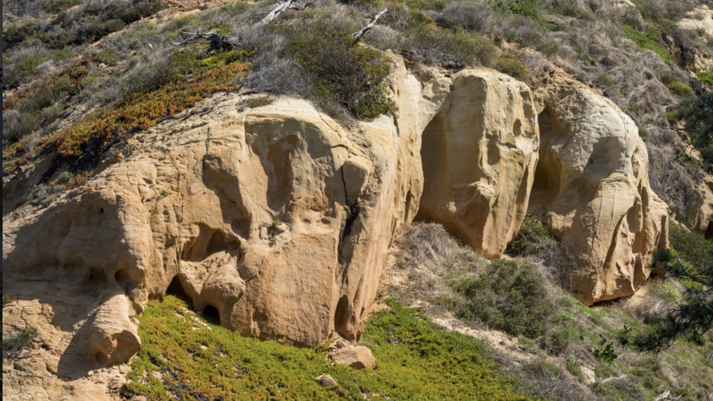 Torrey Pines State Natural Reserve Hiking Experience - Thumbnail 3