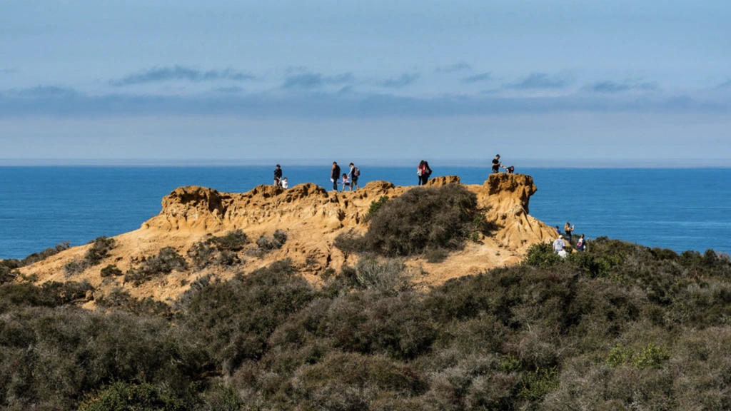 Torrey Pines State Natural Reserve Hiking Experience - Thumbnail 4