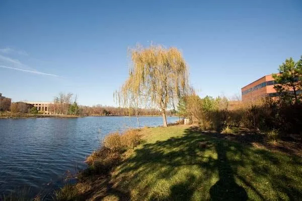 Your New Office - BC International - Cox Road - Richmond - Thumbnail 2