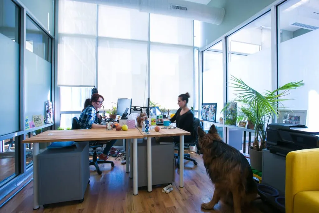 Green Desk - 147 Prince Street - Brooklyn, NY - Media 1