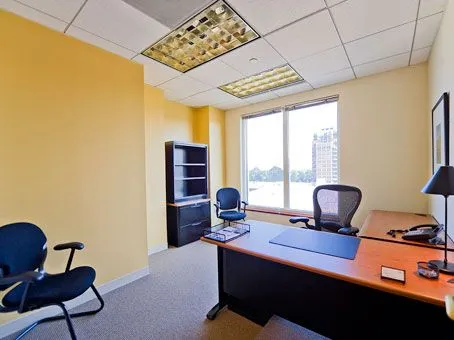 Regus - Reston Town Center 1 - 11921 Freedom Drive - Reston - Media 1